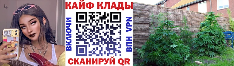 Купить Кодеин  Кокаин  Галлюциногенные грибы  Мефедрон  ГАШ  Марихуана  Свирск