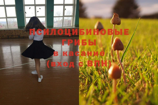 гашик Арсеньев
