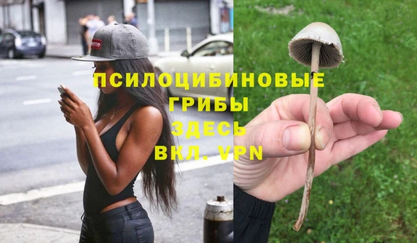 экстази Алексин
