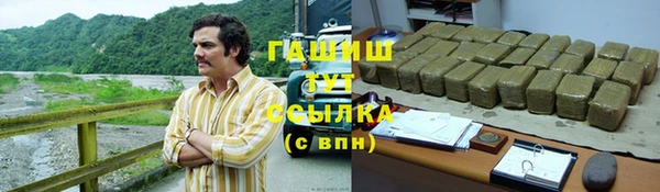 гашик Арсеньев